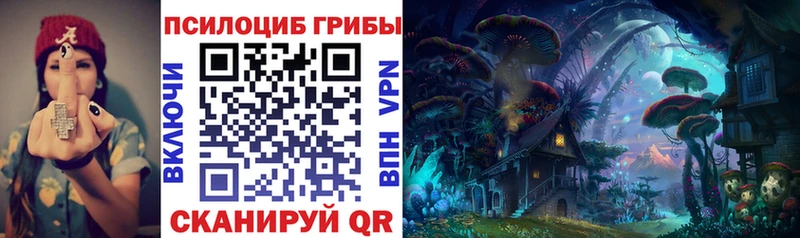 Псилоцибиновые грибы мицелий Новохопёрск